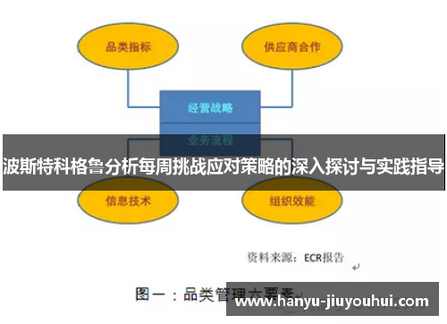 波斯特科格鲁分析每周挑战应对策略的深入探讨与实践指导 波斯特科格鲁分析每周挑战应对策略的深入探讨与实践指导
